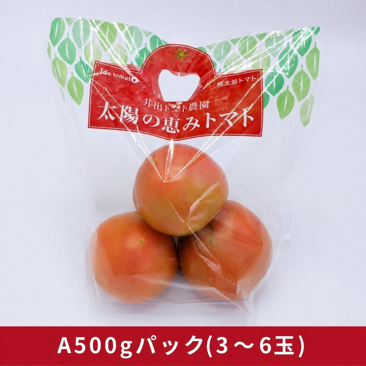 大玉A級 500g 青目をリクエスト［1袋／10袋箱］(500g)
