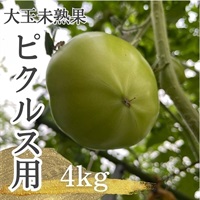 ピクルス用　青トマト（大玉）チルド便指定は料金内※送料は別途(4kg　送料無料)